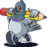 Ace the Focus Pigeon